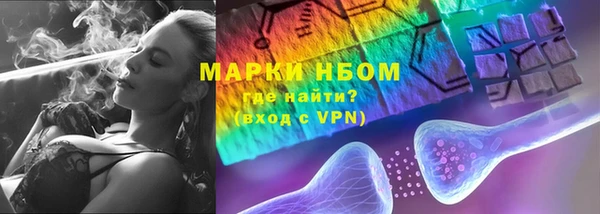 ПСИЛОЦИБИНОВЫЕ ГРИБЫ Заволжье
