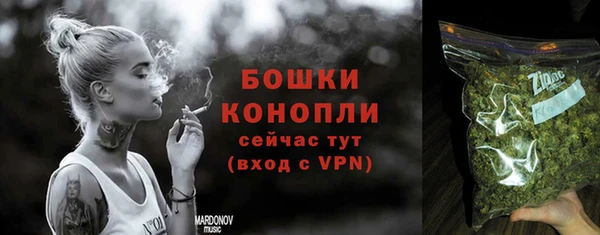 ПСИЛОЦИБИНОВЫЕ ГРИБЫ Заволжье
