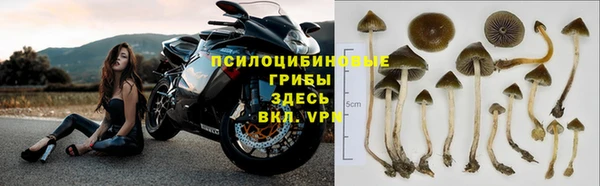ПСИЛОЦИБИНОВЫЕ ГРИБЫ Заволжье