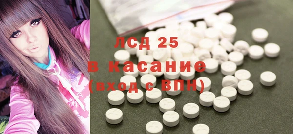 ПСИЛОЦИБИНОВЫЕ ГРИБЫ Заволжье