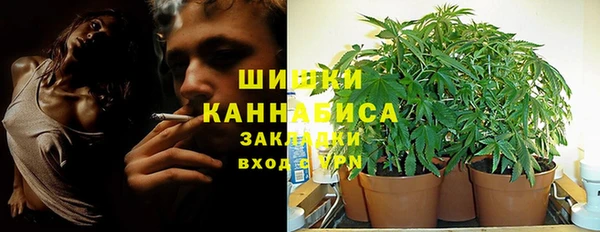 ПСИЛОЦИБИНОВЫЕ ГРИБЫ Заволжье