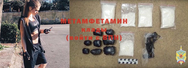 ПСИЛОЦИБИНОВЫЕ ГРИБЫ Заволжье