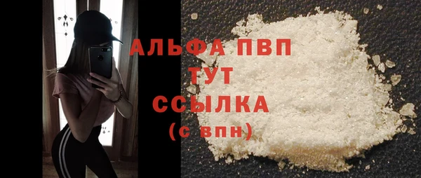 ПСИЛОЦИБИНОВЫЕ ГРИБЫ Заволжье