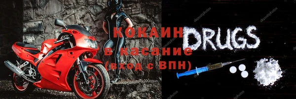 ПСИЛОЦИБИНОВЫЕ ГРИБЫ Заволжье