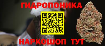 a pvp Можга