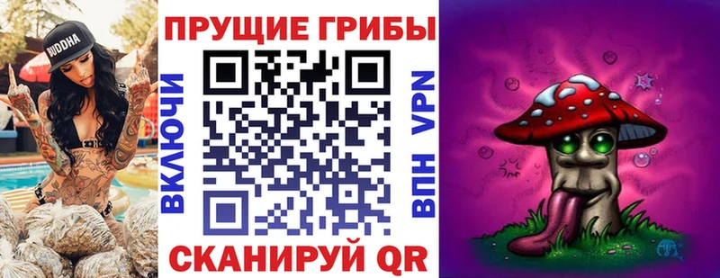 Галлюциногенные грибы Psilocybine cubensis как найти KRAKEN как войти Шарыпово