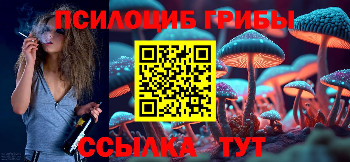 Псилоцибиновые грибы GOLDEN TEACHER  Вход с VPN  Шарыпово 