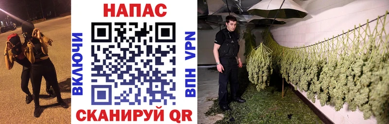 площадка состав где купить наркотик Шарыпово Канабис сатива